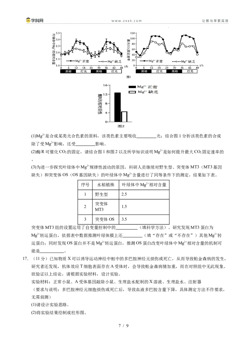 信息必刷卷01（新高考通用）原卷版_2024-2025高三（6-6月题库）_2025年05月试卷_05242025年高考物理考前信息必刷卷01（新高考通用）