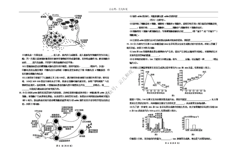 河南省百师联盟2024-2025学年高二上学期12月期中检测试题生物Word版无答案_2024-2025高二（7-7月题库）_2024年12月试卷_1227河南省百师联盟2024-2025学年高二上学期12月期中检测