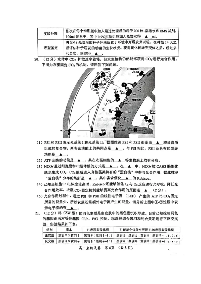 江苏省常州市2023-2024学年高三上学期期中学业水平监测生物(1)_2023年11月_0211月合集_2024届江苏省常州市高三上学期期中学业水平监测