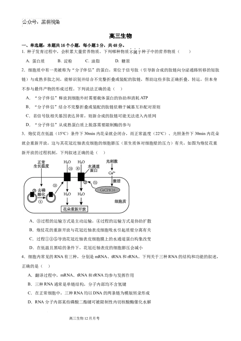 四川省成都列五中学2024-2025学年高三上学期12月月考生物_2024-2025高三（6-6月题库）_2024年12月试卷_1218四川省成都列五中学2024-2025学年高三上学期12月月考（全科）