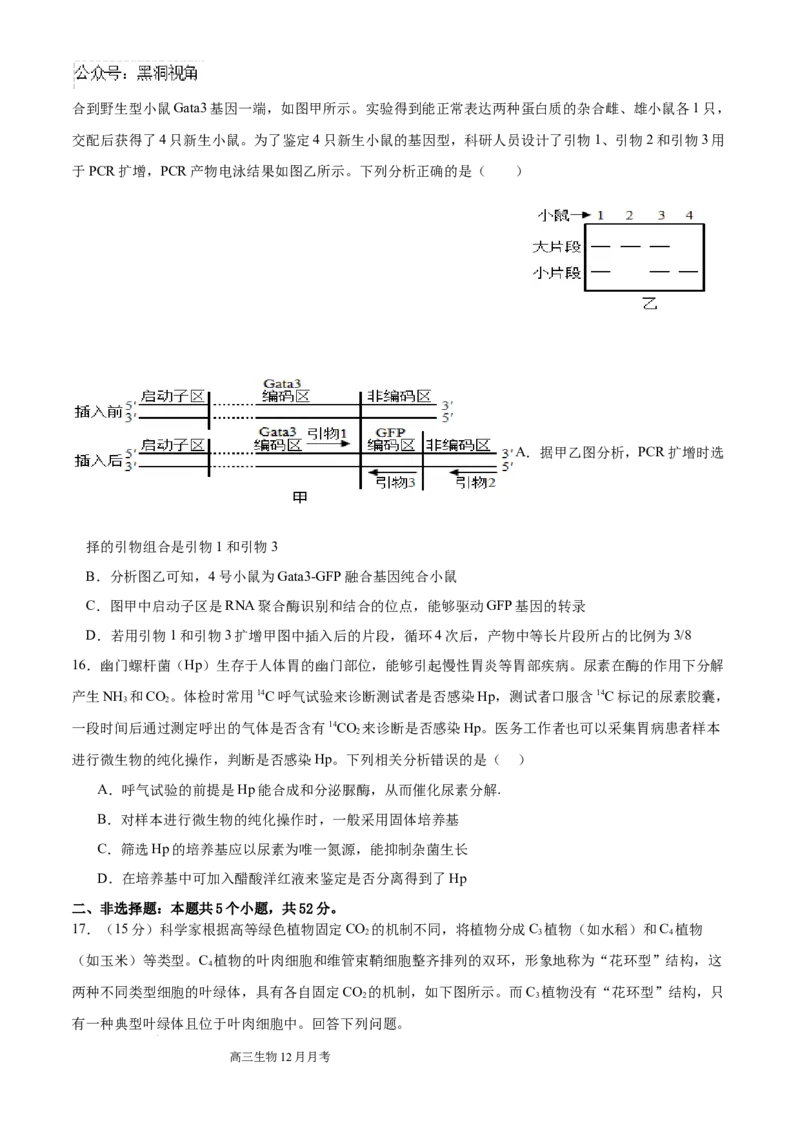 四川省成都列五中学2024-2025学年高三上学期12月月考生物_2024-2025高三（6-6月题库）_2024年12月试卷_1218四川省成都列五中学2024-2025学年高三上学期12月月考（全科）