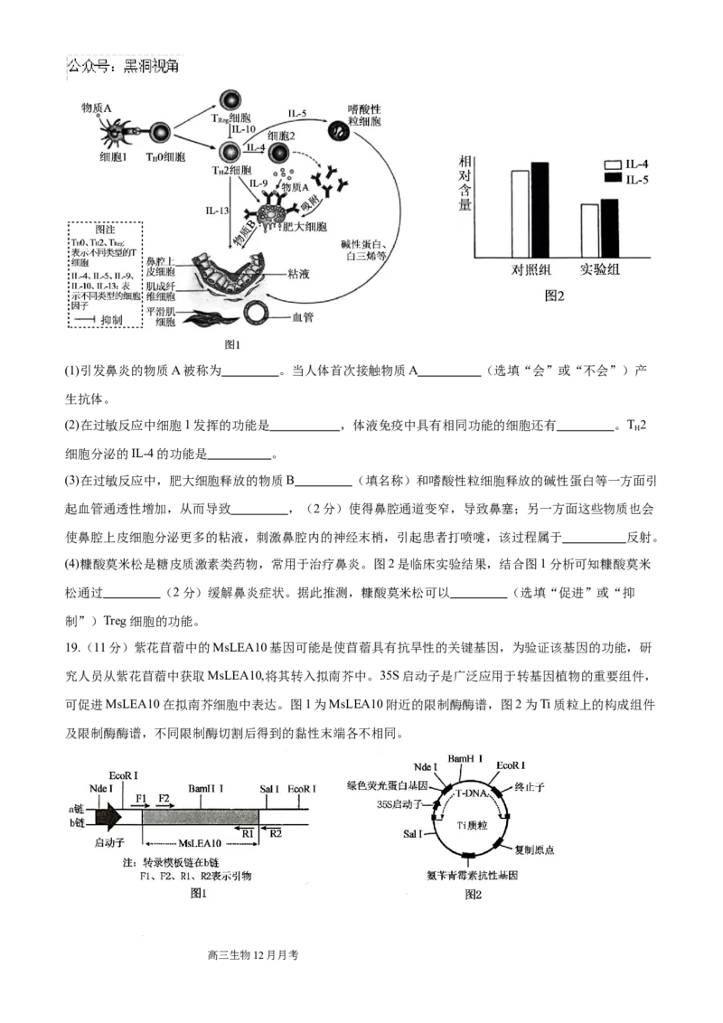 四川省成都列五中学2024-2025学年高三上学期12月月考生物_2024-2025高三（6-6月题库）_2024年12月试卷_1218四川省成都列五中学2024-2025学年高三上学期12月月考（全科）