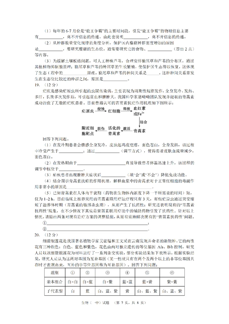 生物（一中）_2_2024年5月_01按日期_1号_2024届湖南省长沙市第一中学高考适应性演练(二）_2024届湖南省长沙市第一中学高考适应性演练(二）生物试题
