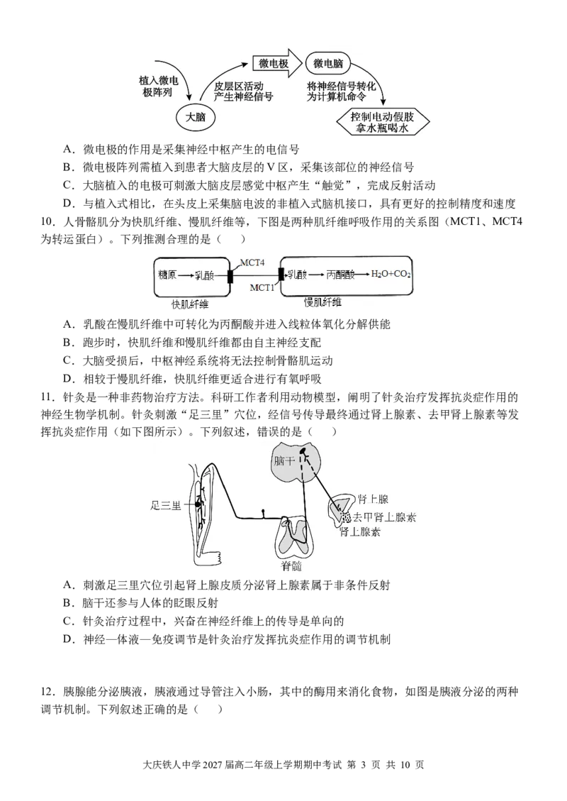 大庆铁人中学2024级高二年级上学期期中考试生物试卷_251209黑龙江省大庆铁人中学2025-2026学年高二上学期期中考试（全）