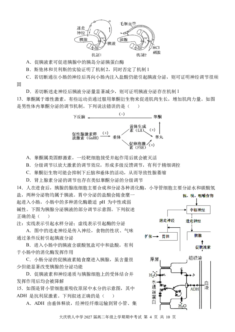 大庆铁人中学2024级高二年级上学期期中考试生物试卷_251209黑龙江省大庆铁人中学2025-2026学年高二上学期期中考试（全）