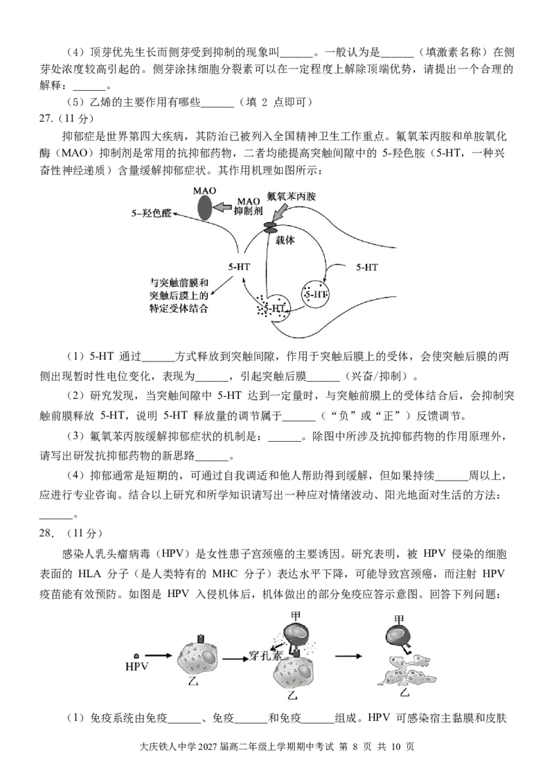 大庆铁人中学2024级高二年级上学期期中考试生物试卷_251209黑龙江省大庆铁人中学2025-2026学年高二上学期期中考试（全）