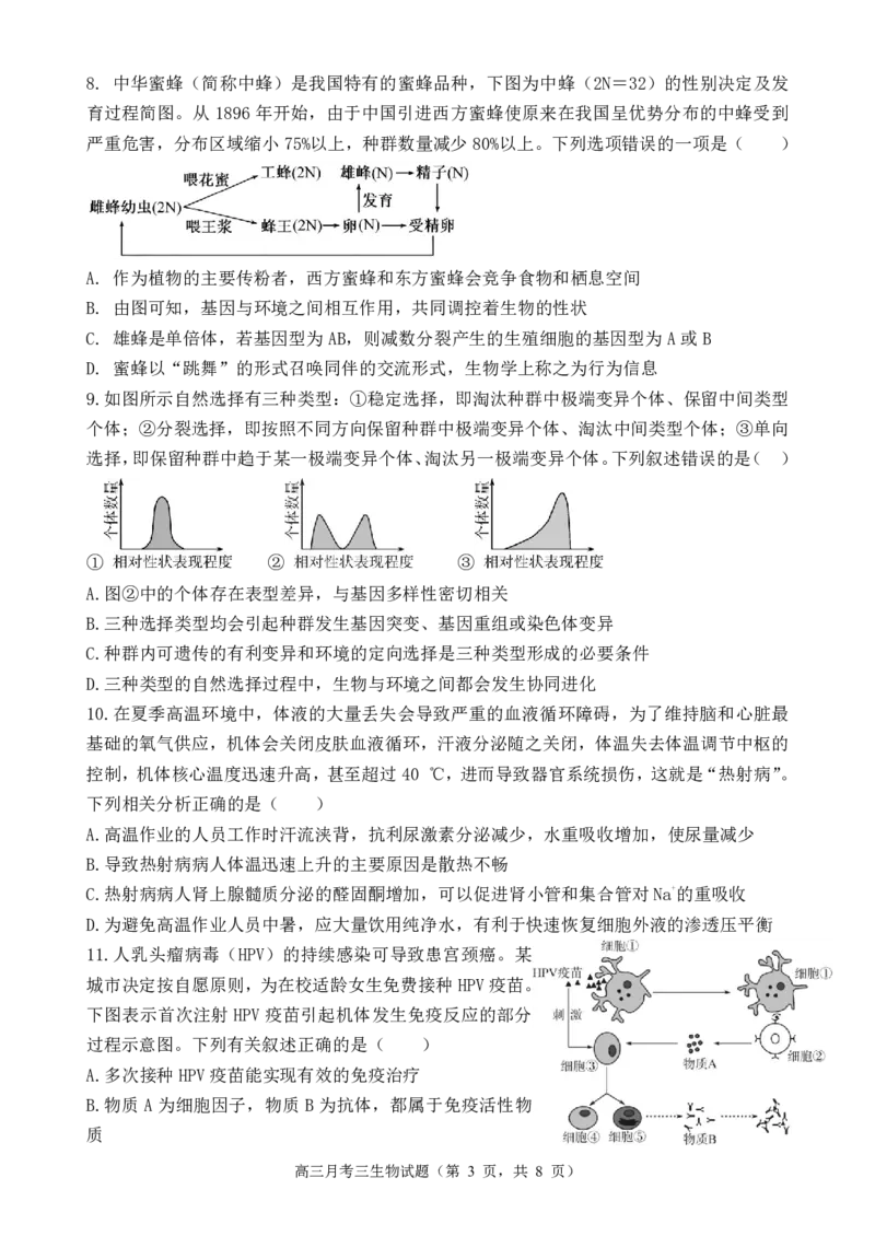 宝鸡中学2022级高三第一学期月考三考试试题-生物_2024-2025高三（6-6月题库）_2024年12月试卷_1203陕西省宝鸡市宝鸡中学2024-2025学年高三上学期12月月考
