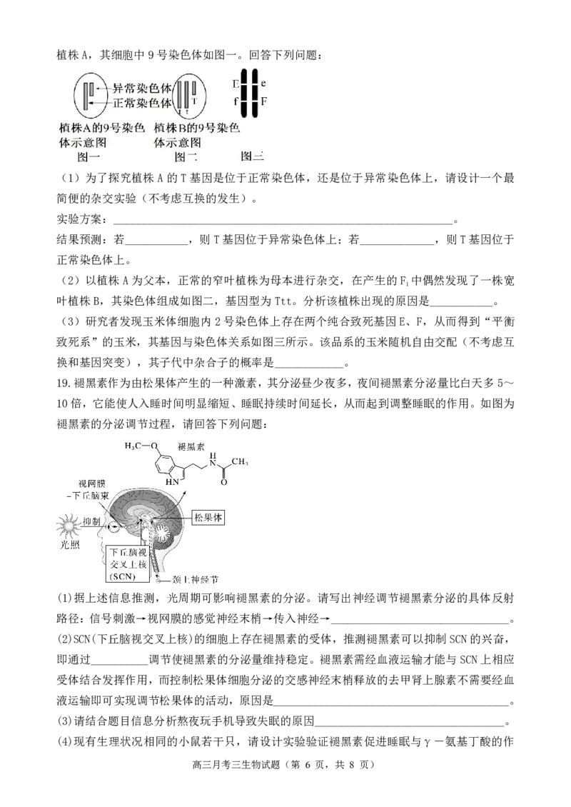 宝鸡中学2022级高三第一学期月考三考试试题-生物_2024-2025高三（6-6月题库）_2024年12月试卷_1203陕西省宝鸡市宝鸡中学2024-2025学年高三上学期12月月考