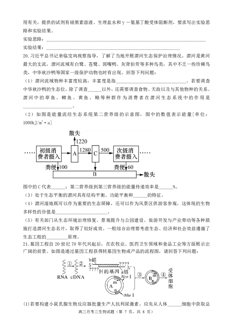 宝鸡中学2022级高三第一学期月考三考试试题-生物_2024-2025高三（6-6月题库）_2024年12月试卷_1203陕西省宝鸡市宝鸡中学2024-2025学年高三上学期12月月考