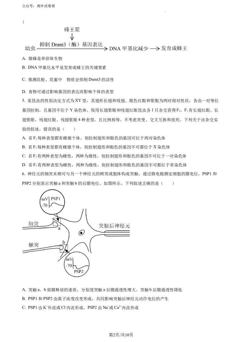 精品解析：河北省石家庄市辛集市2023-2024学年高三2月期末生物试题（原卷版）_2024年2月_01每日更新_17号_2024届河北省石家庄市辛集市高三上学期2月期末