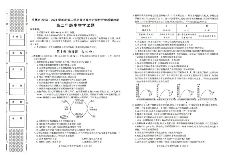 榆林2023-2024学年度高二第二学期期末校际联考+生物_2024-2025高二（7-7月题库）_2024年07月试卷_0724陕西省榆林2023-2024学年度高二第二学期期末校际联考