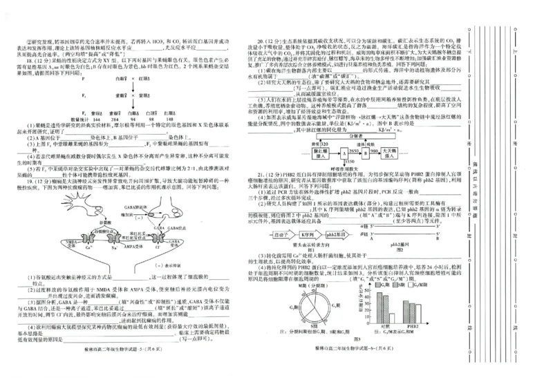 榆林2023-2024学年度高二第二学期期末校际联考+生物_2024-2025高二（7-7月题库）_2024年07月试卷_0724陕西省榆林2023-2024学年度高二第二学期期末校际联考