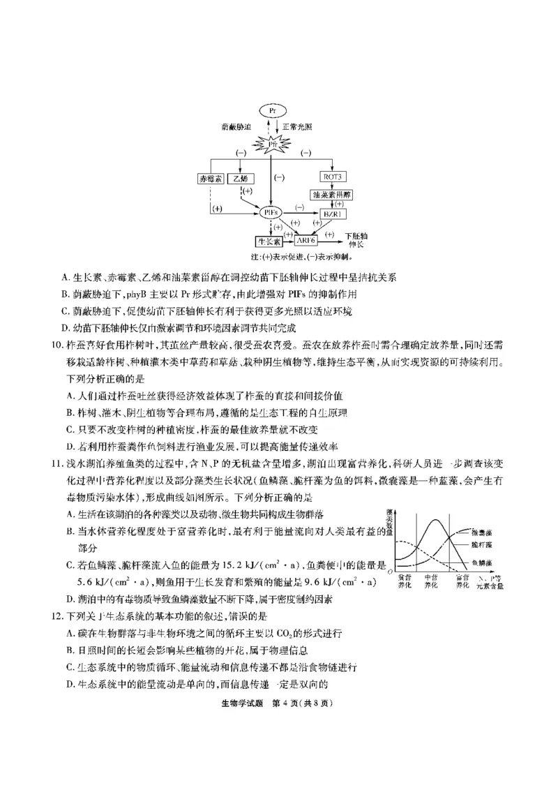 生物试题_2024年2月_01每日更新_23号_2024届安徽省六校教育研究会高三下学期下学期第二次素养测试（2月）_安徽省六校教育研究会2024届高三下学期下学期第二次素养测试（2月）生物
