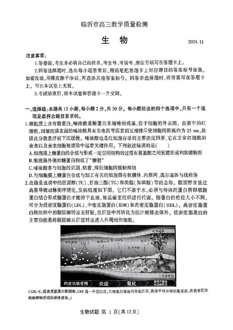 山东省临沂市2025届高三上学期教学质量检测考试暨期中考试（九五联考）生物_2024-2025高三（6-6月题库）_2024年11月试卷