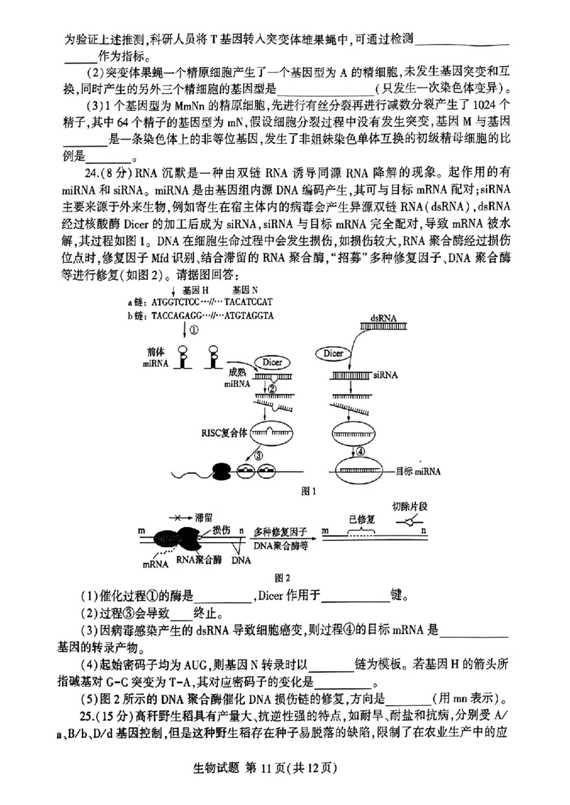 山东省临沂市2025届高三上学期教学质量检测考试暨期中考试（九五联考）生物_2024-2025高三（6-6月题库）_2024年11月试卷