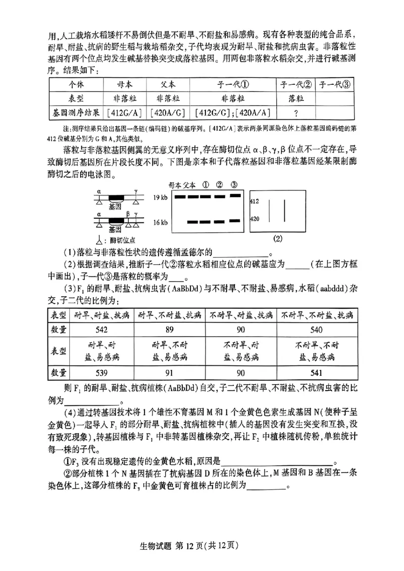 山东省临沂市2025届高三上学期教学质量检测考试暨期中考试（九五联考）生物_2024-2025高三（6-6月题库）_2024年11月试卷
