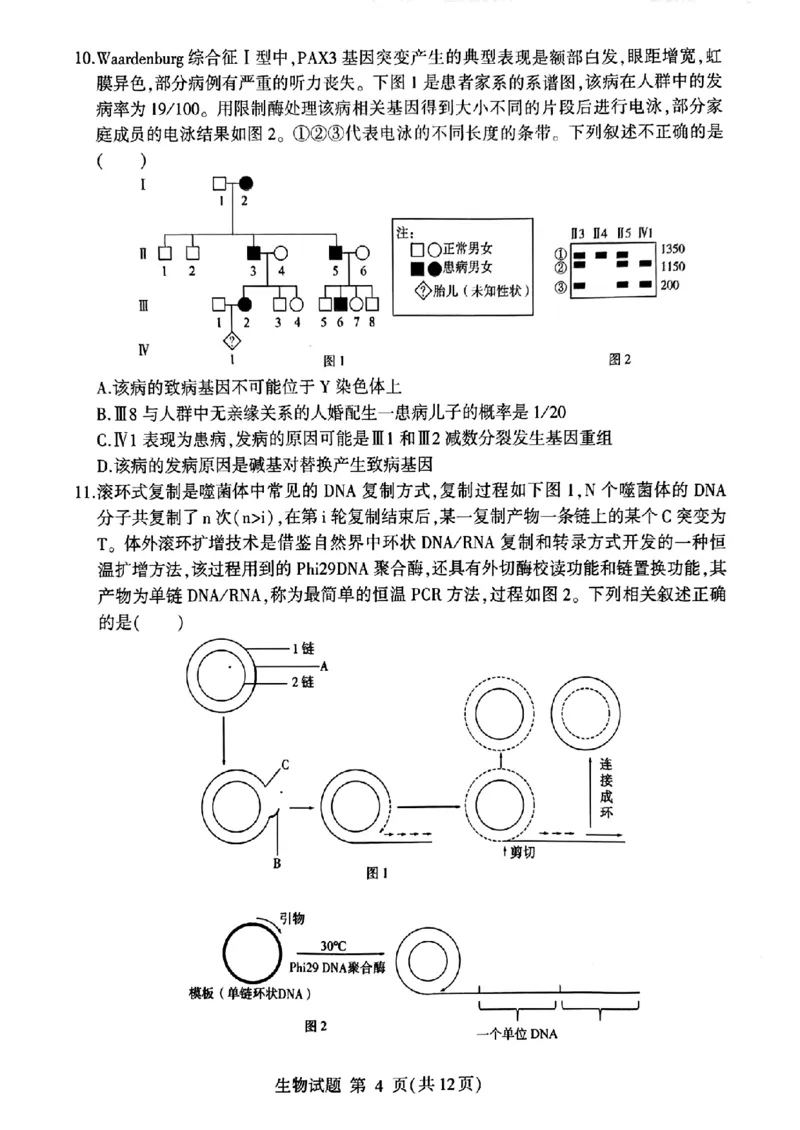 山东省临沂市2025届高三上学期教学质量检测考试暨期中考试（九五联考）生物_2024-2025高三（6-6月题库）_2024年11月试卷