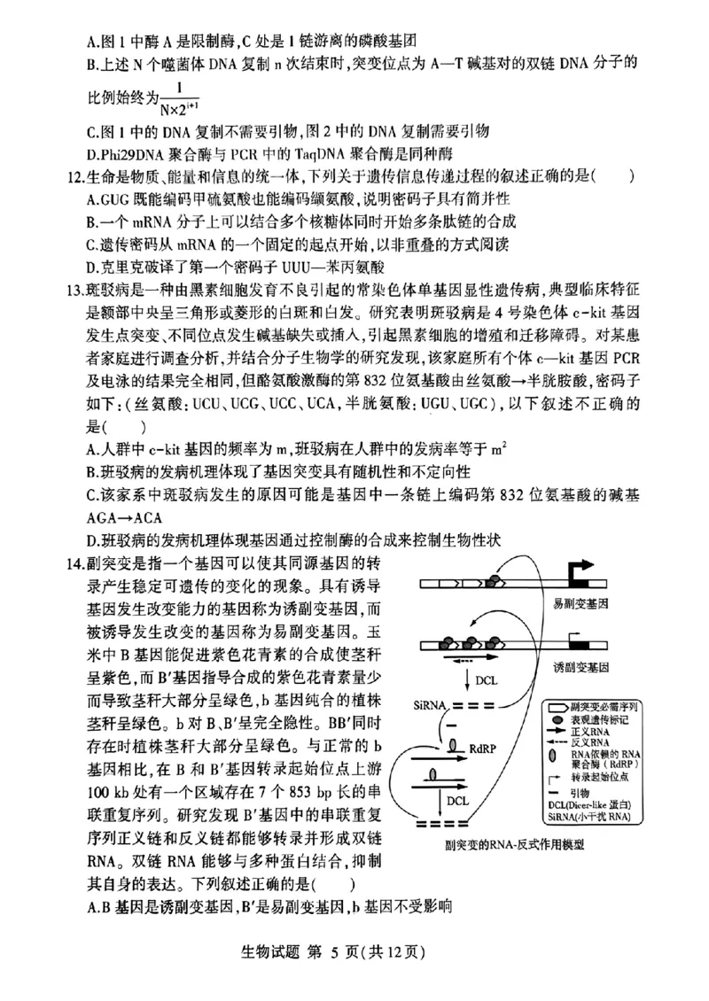 山东省临沂市2025届高三上学期教学质量检测考试暨期中考试（九五联考）生物_2024-2025高三（6-6月题库）_2024年11月试卷