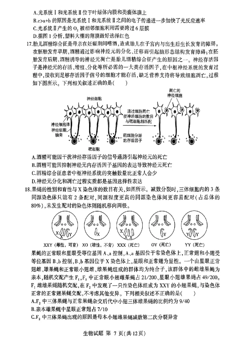 山东省临沂市2025届高三上学期教学质量检测考试暨期中考试（九五联考）生物_2024-2025高三（6-6月题库）_2024年11月试卷
