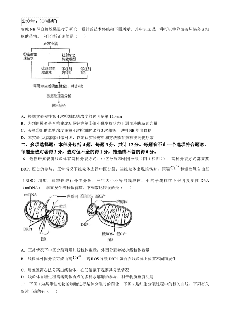 江苏省扬州市高邮市2024-2025学年高三上学期12月月考生物试题（含答案）_2024-2025高三（6-6月题库）_2025年01月试卷_0103江苏省扬州市高邮市2024-2025学年高三上学期12月月考（全科）