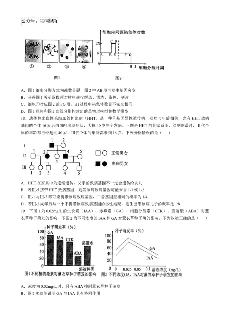 江苏省扬州市高邮市2024-2025学年高三上学期12月月考生物试题（含答案）_2024-2025高三（6-6月题库）_2025年01月试卷_0103江苏省扬州市高邮市2024-2025学年高三上学期12月月考（全科）