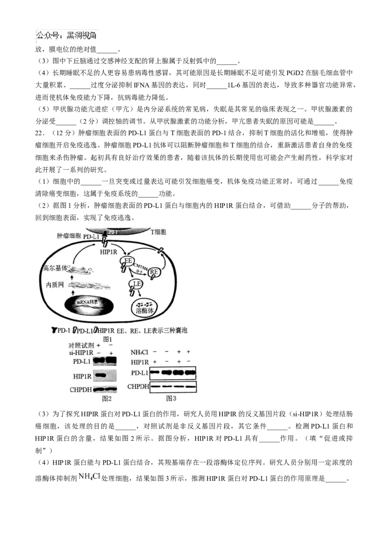 江苏省扬州市高邮市2024-2025学年高三上学期12月月考生物试题（含答案）_2024-2025高三（6-6月题库）_2025年01月试卷_0103江苏省扬州市高邮市2024-2025学年高三上学期12月月考（全科）