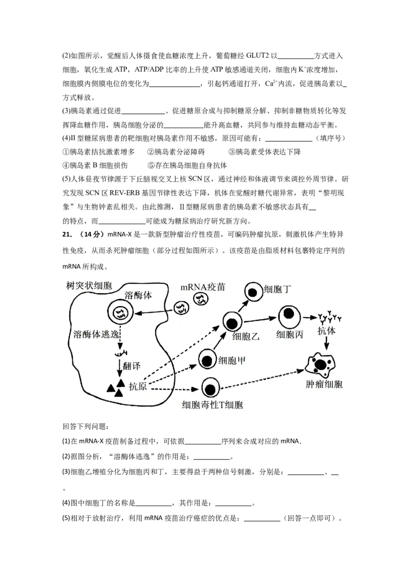 湖北省汉川市金益高级中学有限公司2025-2026学年高二上学期12月月考生物试题_2024-2025高二（7-7月题库）_2026年1月高二