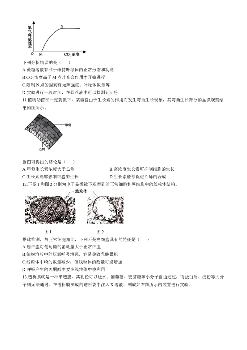浙江省杭州地区（含周边）重点中学2024-2025学年高二上学期期中联考生物试卷（含答案）_2024-2025高二（7-7月题库）_2024年11月试卷