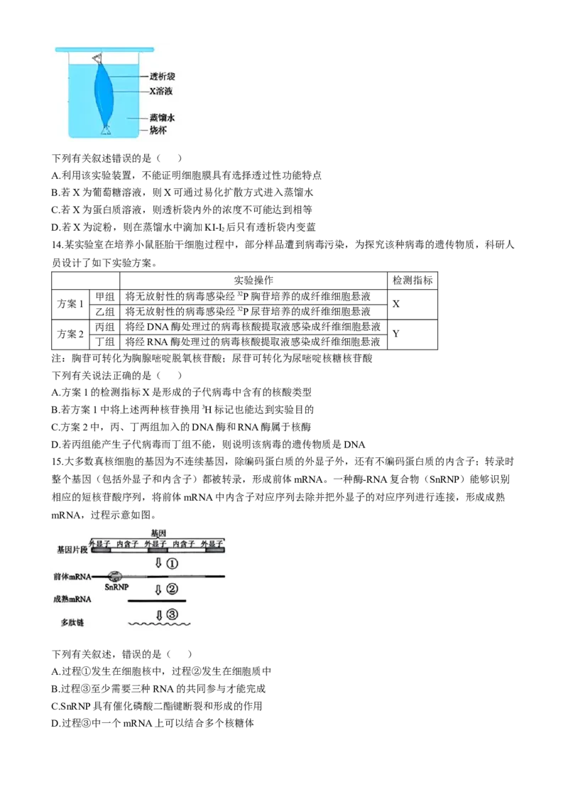 浙江省杭州地区（含周边）重点中学2024-2025学年高二上学期期中联考生物试卷（含答案）_2024-2025高二（7-7月题库）_2024年11月试卷