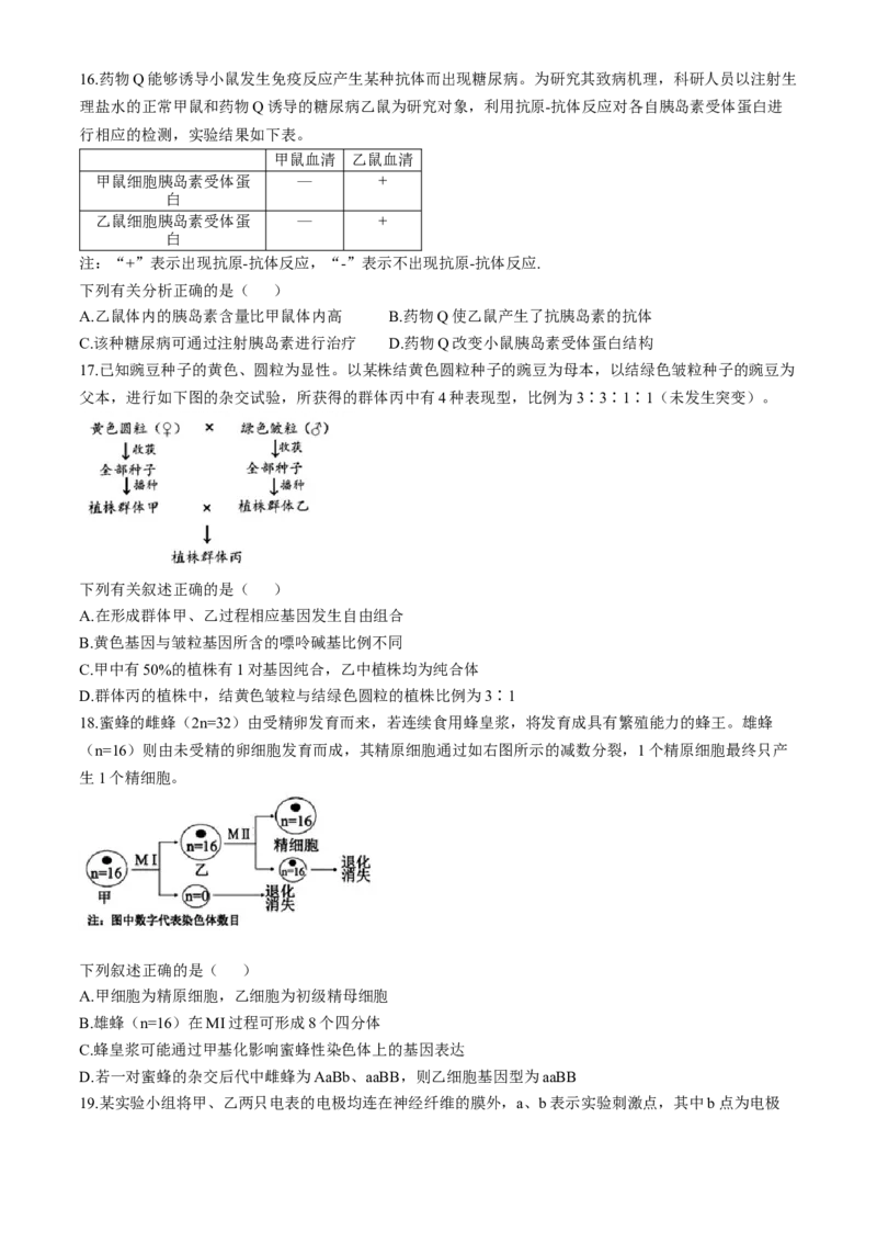 浙江省杭州地区（含周边）重点中学2024-2025学年高二上学期期中联考生物试卷（含答案）_2024-2025高二（7-7月题库）_2024年11月试卷