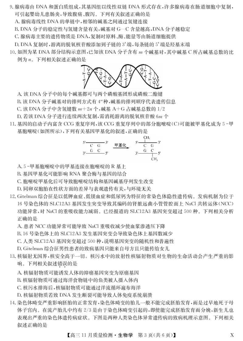 安徽省九师联盟2024届高三11月质量检测生物(1)_2023年11月_01每日更新_30号_2024届安徽省九师联盟高三11月质量检测