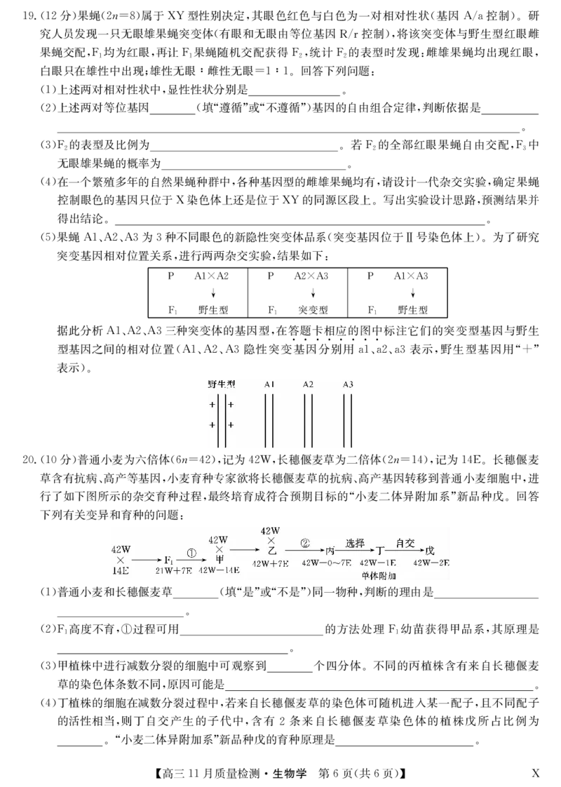 安徽省九师联盟2024届高三11月质量检测生物(1)_2023年11月_01每日更新_30号_2024届安徽省九师联盟高三11月质量检测