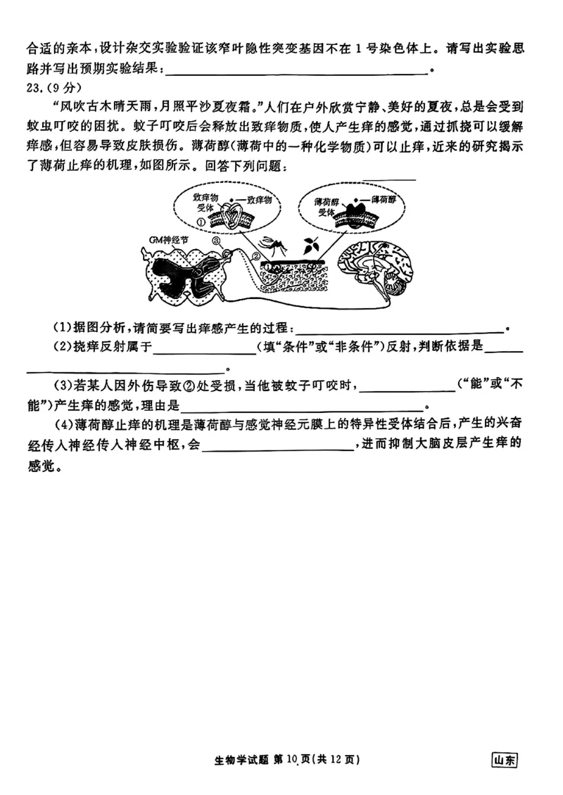 山东省衡水金卷2025届高三年级上学期九月摸底联考生物+答案_2024-2025高三（6-6月题库）_2024年09月试卷_0908山东省衡水金卷2025届高三年级上学期九月摸底联考