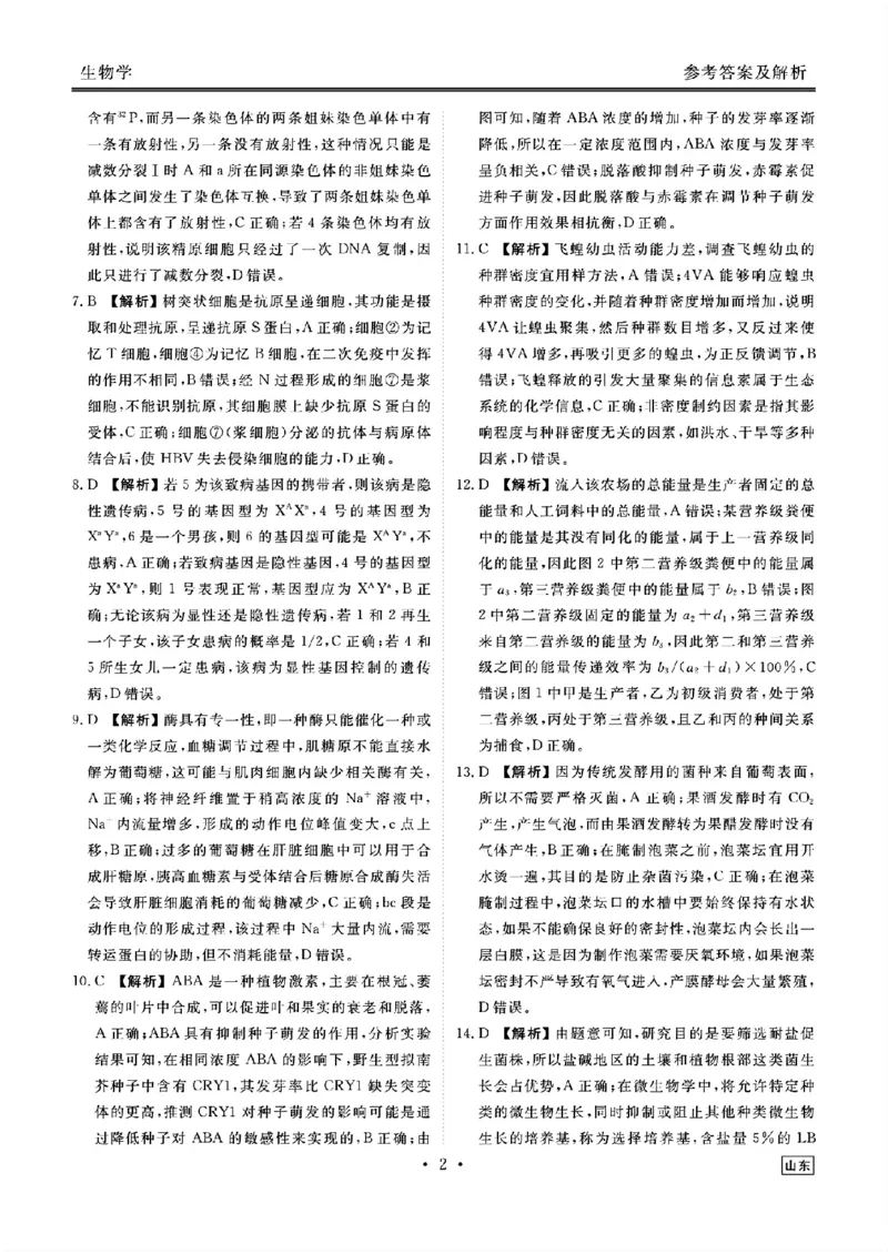 山东省衡水金卷2025届高三年级上学期九月摸底联考生物+答案_2024-2025高三（6-6月题库）_2024年09月试卷_0908山东省衡水金卷2025届高三年级上学期九月摸底联考