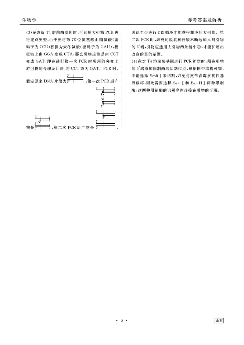 山东省衡水金卷2025届高三年级上学期九月摸底联考生物+答案_2024-2025高三（6-6月题库）_2024年09月试卷_0908山东省衡水金卷2025届高三年级上学期九月摸底联考