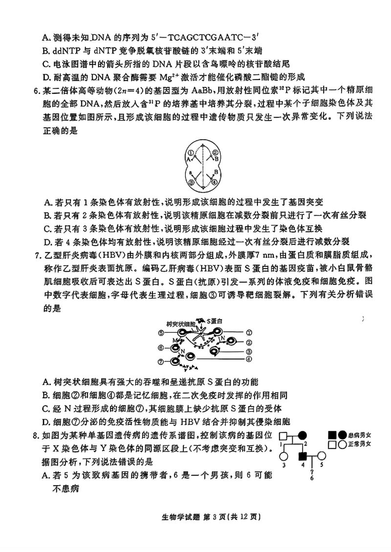 山东省衡水金卷2025届高三年级上学期九月摸底联考生物+答案_2024-2025高三（6-6月题库）_2024年09月试卷_0908山东省衡水金卷2025届高三年级上学期九月摸底联考