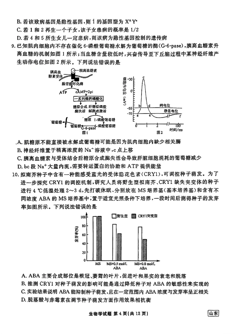 山东省衡水金卷2025届高三年级上学期九月摸底联考生物+答案_2024-2025高三（6-6月题库）_2024年09月试卷_0908山东省衡水金卷2025届高三年级上学期九月摸底联考