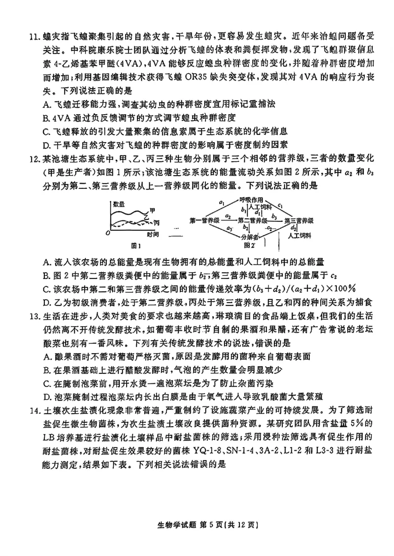 山东省衡水金卷2025届高三年级上学期九月摸底联考生物+答案_2024-2025高三（6-6月题库）_2024年09月试卷_0908山东省衡水金卷2025届高三年级上学期九月摸底联考