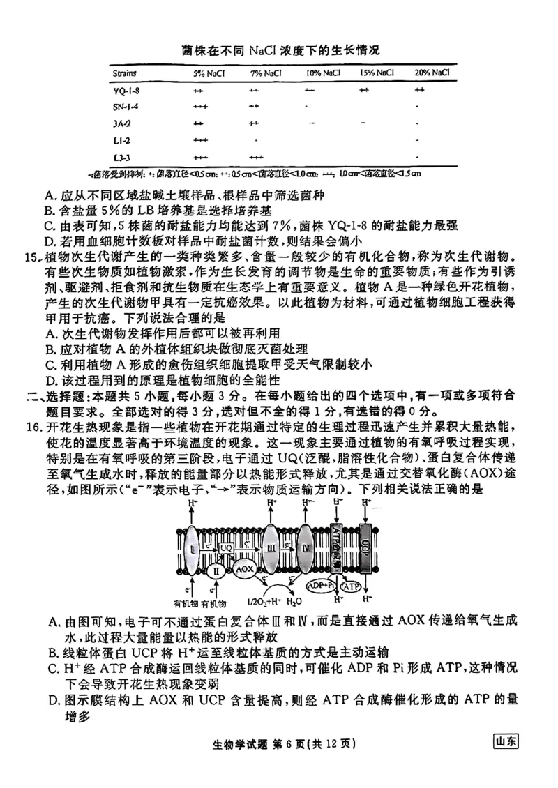 山东省衡水金卷2025届高三年级上学期九月摸底联考生物+答案_2024-2025高三（6-6月题库）_2024年09月试卷_0908山东省衡水金卷2025届高三年级上学期九月摸底联考