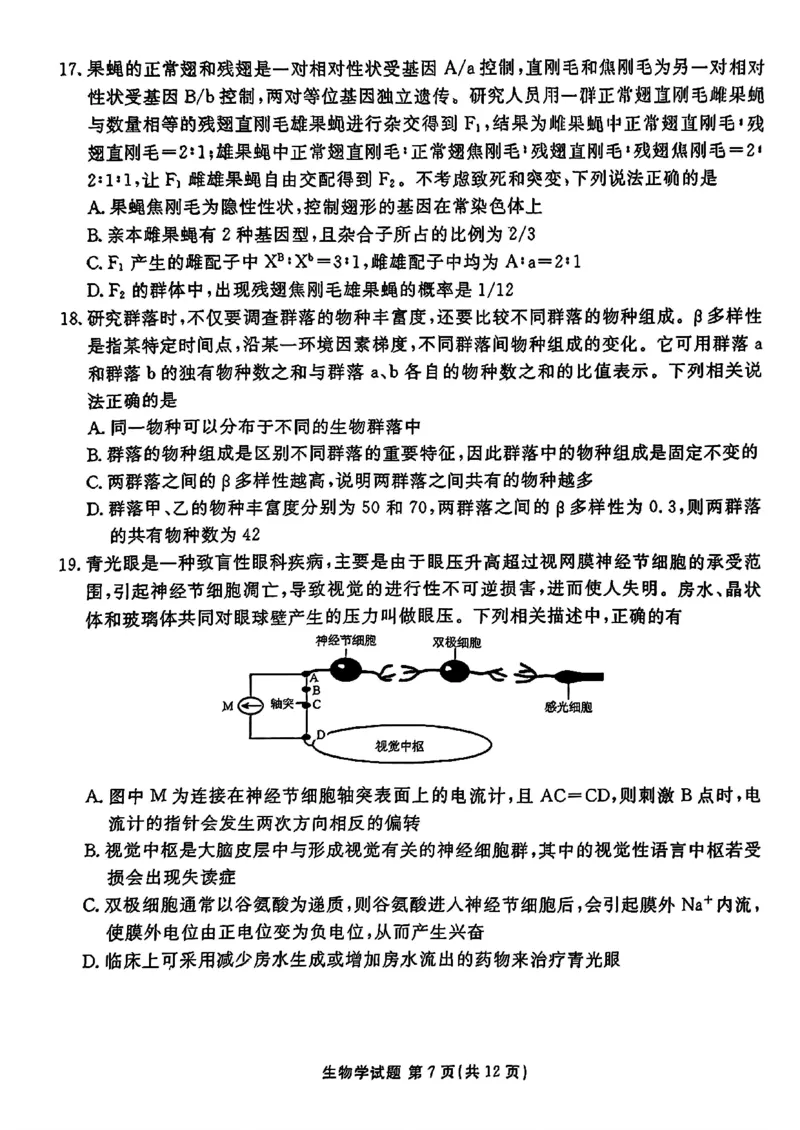山东省衡水金卷2025届高三年级上学期九月摸底联考生物+答案_2024-2025高三（6-6月题库）_2024年09月试卷_0908山东省衡水金卷2025届高三年级上学期九月摸底联考