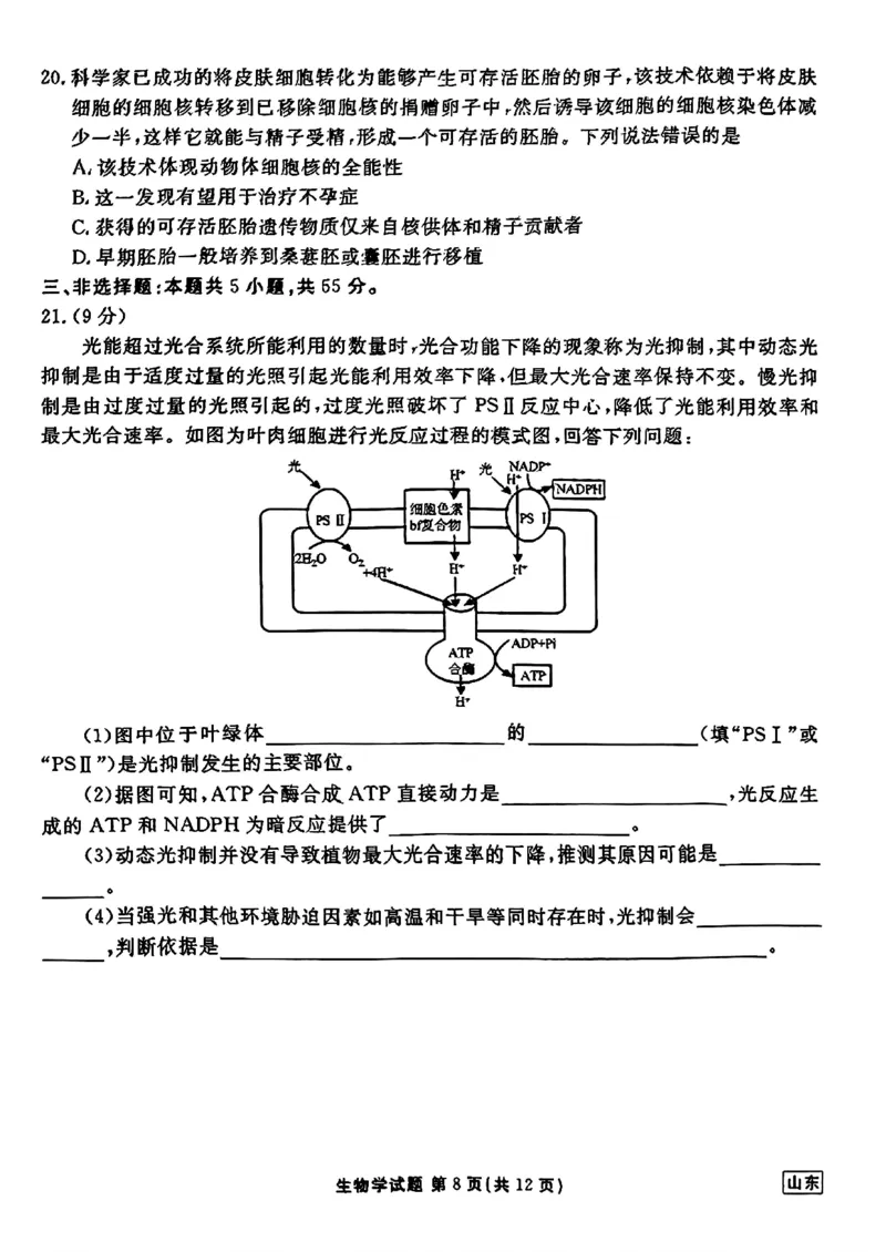 山东省衡水金卷2025届高三年级上学期九月摸底联考生物+答案_2024-2025高三（6-6月题库）_2024年09月试卷_0908山东省衡水金卷2025届高三年级上学期九月摸底联考