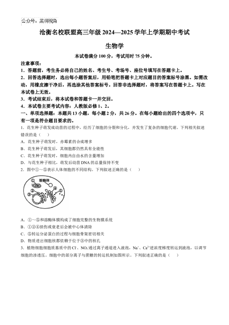 河北省沧州市沧衡名校联盟2024-2025学年高三上学期11月期中生物试题_2024-2025高三（6-6月题库）_2024年11月试卷_1120河北省沧衡名校联盟2024-2025学年高三11月期中考试