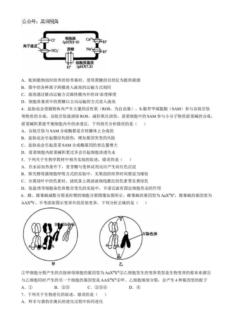 河北省沧州市沧衡名校联盟2024-2025学年高三上学期11月期中生物试题_2024-2025高三（6-6月题库）_2024年11月试卷_1120河北省沧衡名校联盟2024-2025学年高三11月期中考试