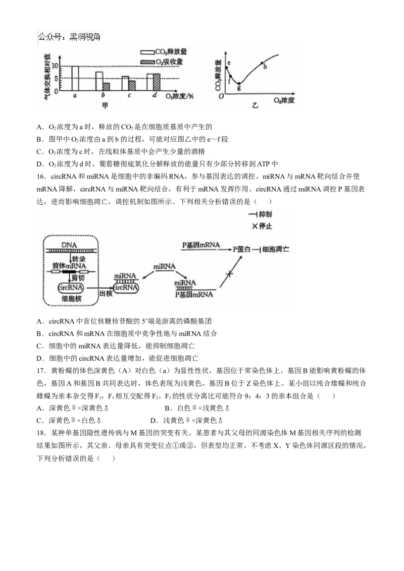 河北省沧州市沧衡名校联盟2024-2025学年高三上学期11月期中生物试题_2024-2025高三（6-6月题库）_2024年11月试卷_1120河北省沧衡名校联盟2024-2025学年高三11月期中考试