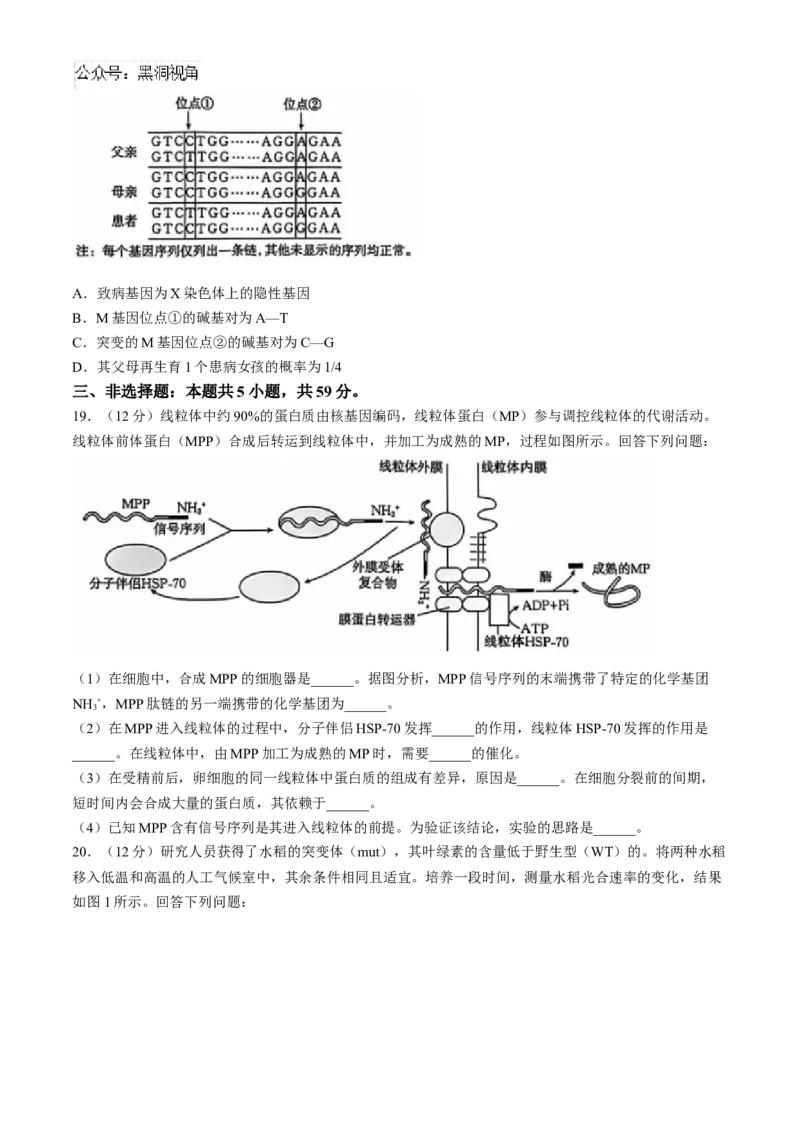 河北省沧州市沧衡名校联盟2024-2025学年高三上学期11月期中生物试题_2024-2025高三（6-6月题库）_2024年11月试卷_1120河北省沧衡名校联盟2024-2025学年高三11月期中考试