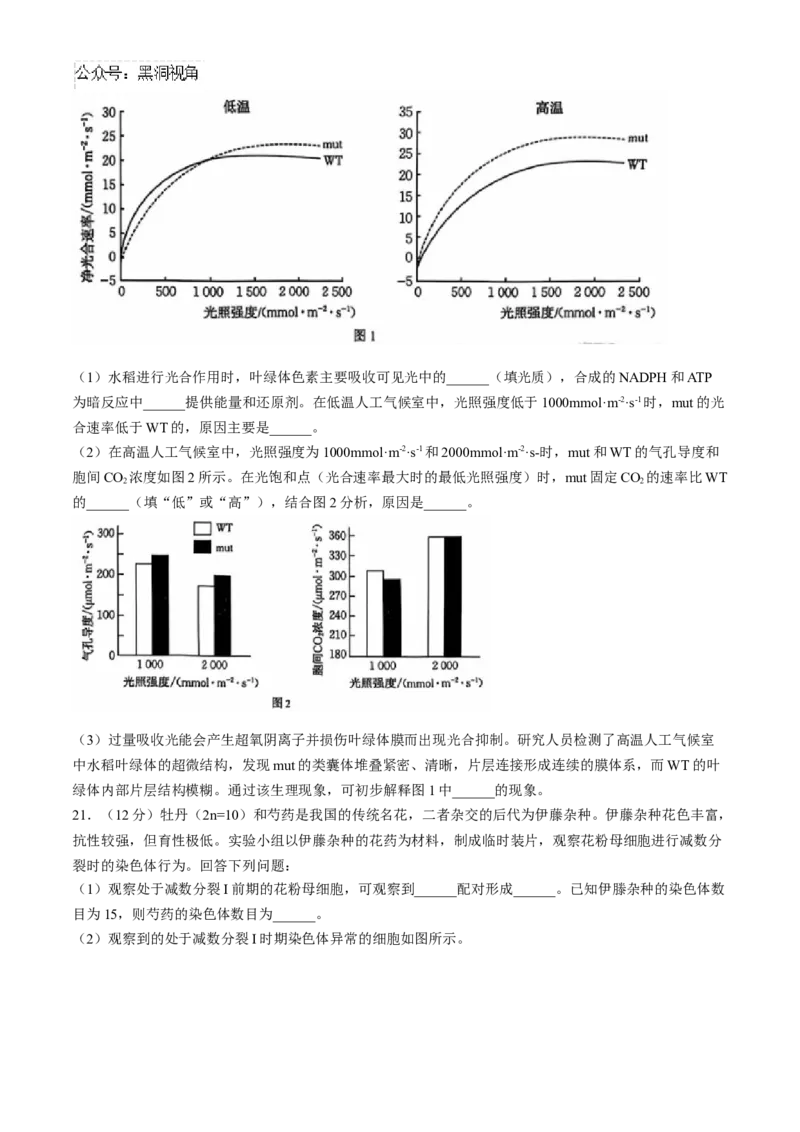 河北省沧州市沧衡名校联盟2024-2025学年高三上学期11月期中生物试题_2024-2025高三（6-6月题库）_2024年11月试卷_1120河北省沧衡名校联盟2024-2025学年高三11月期中考试