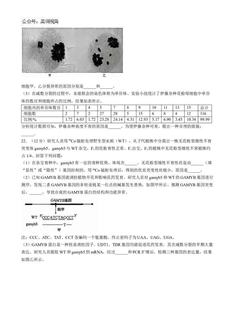 河北省沧州市沧衡名校联盟2024-2025学年高三上学期11月期中生物试题_2024-2025高三（6-6月题库）_2024年11月试卷_1120河北省沧衡名校联盟2024-2025学年高三11月期中考试