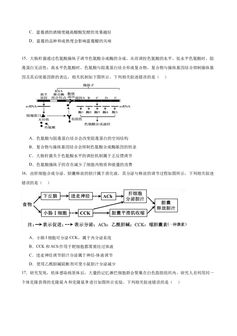 浙江省衢州市五校联盟2024-2025学年高二下学期期中联考试题生物Word版含答案_2024-2025高二（7-7月题库）_2025年05月试卷_0527浙江省衢州市五校联盟2024-2025学年高二下学期期中联考试题