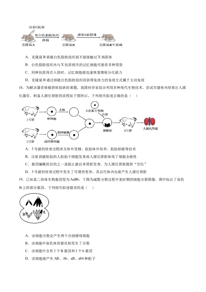 浙江省衢州市五校联盟2024-2025学年高二下学期期中联考试题生物Word版含答案_2024-2025高二（7-7月题库）_2025年05月试卷_0527浙江省衢州市五校联盟2024-2025学年高二下学期期中联考试题