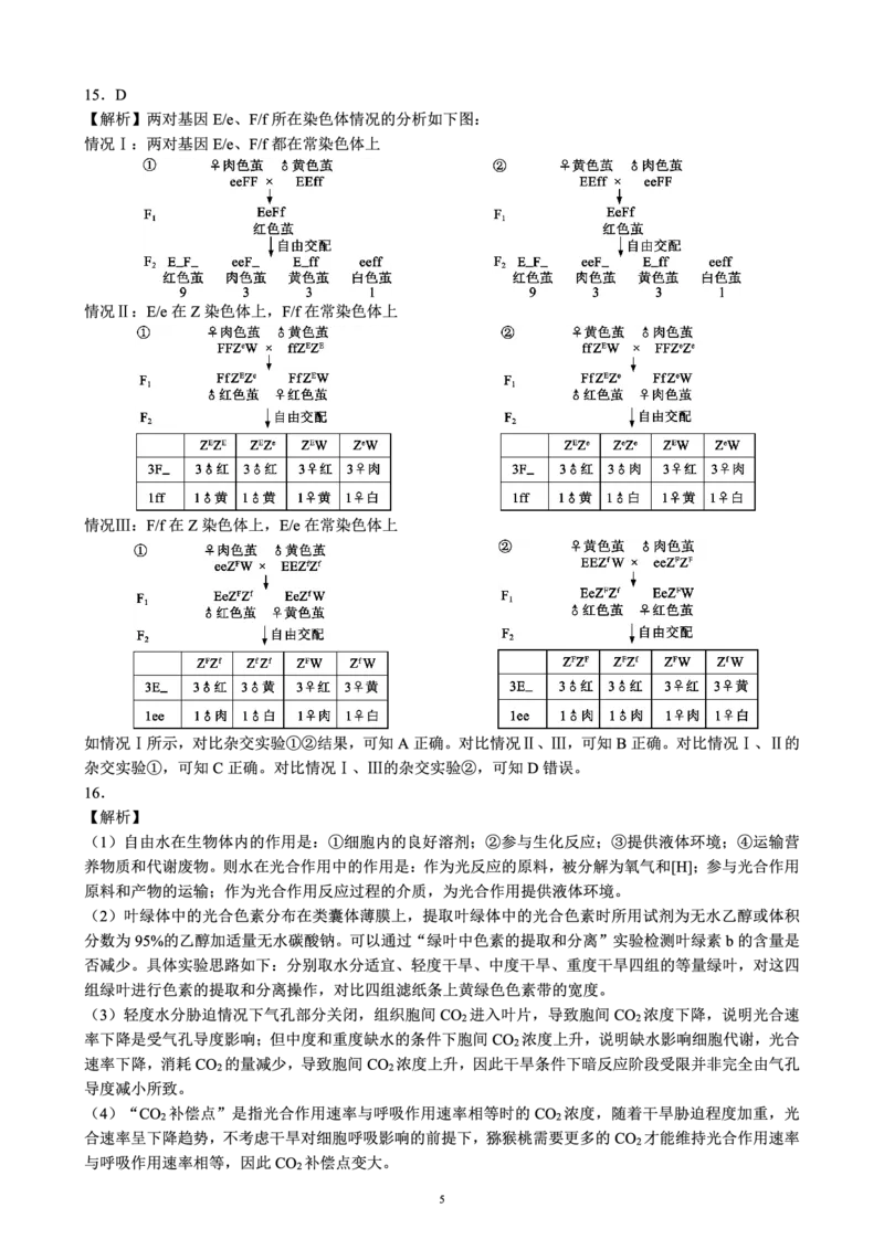 四川省成都市蓉城名校联盟2025届高三上学期第一次联合性诊断性考试生物答案_2024-2025高三（6-6月题库）_2024年12月试卷